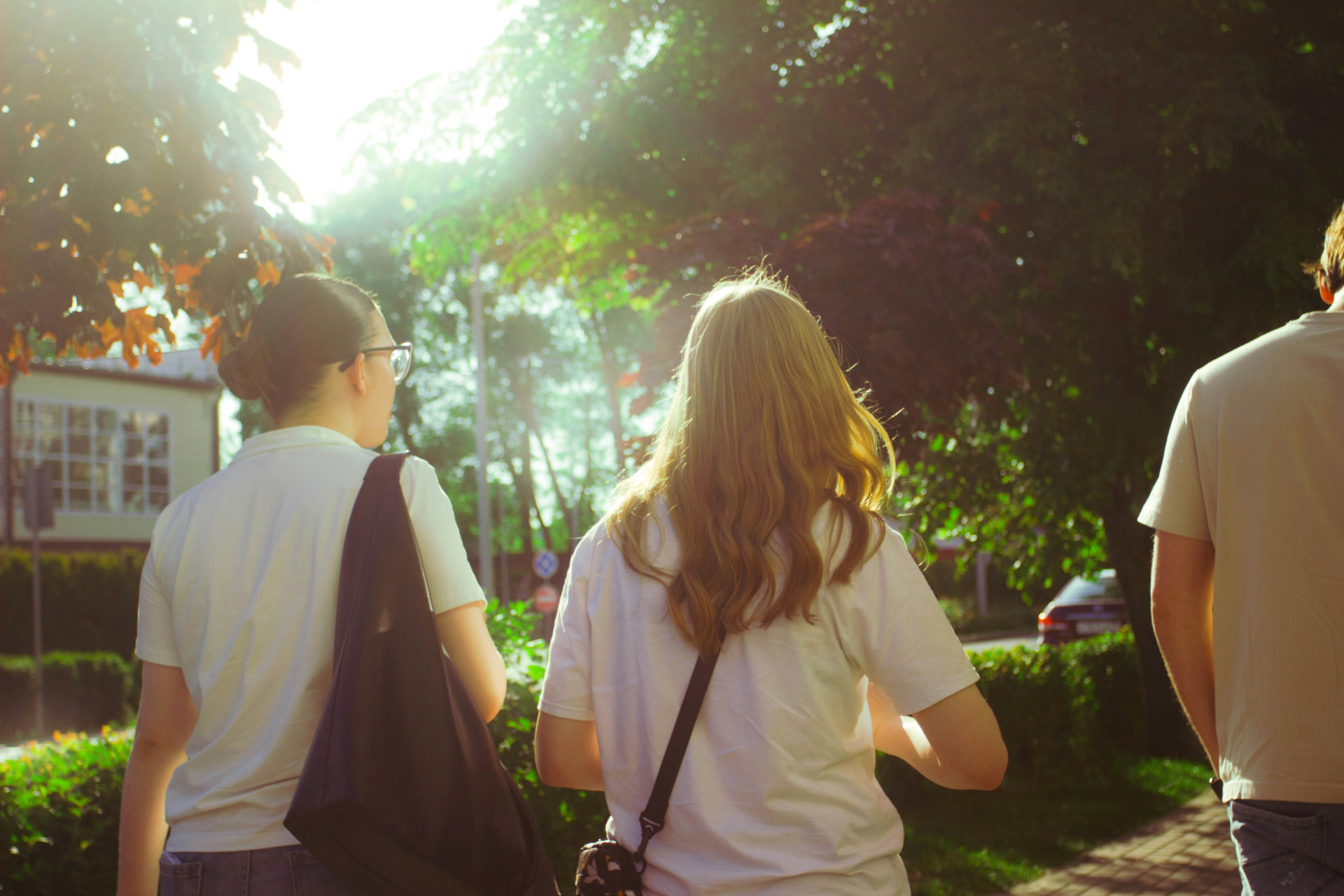 Three students walking together on a sunlit campus path
